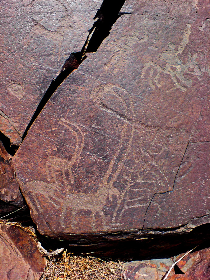 golpayegan-petroglyphs-45