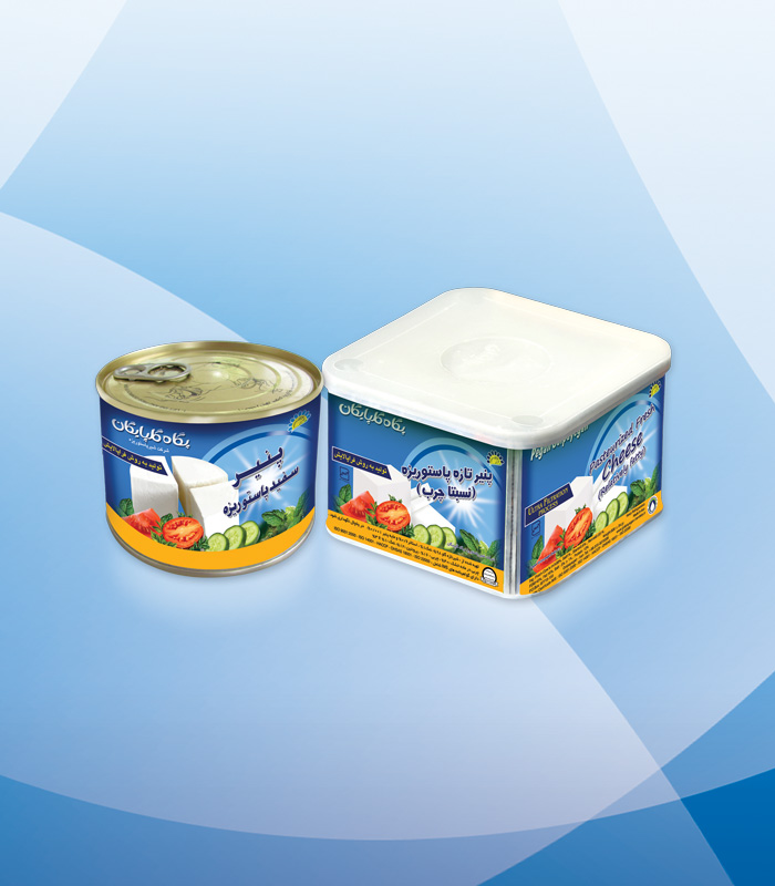 semifat-pasteurized-fresh-uf-cheese-01